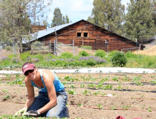 COMMIT TO EATING FOOD GROWN IN CENTRAL OREGON!!