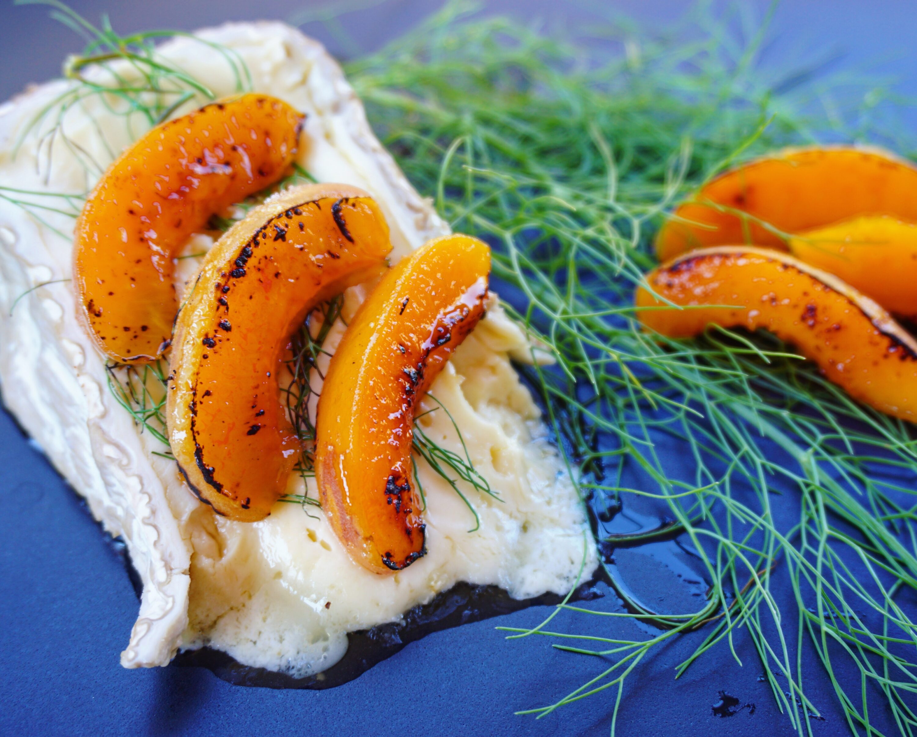 Warm brie of goat with candied fennel and apricots brulée.